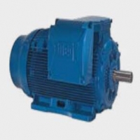 W22系列高效電機